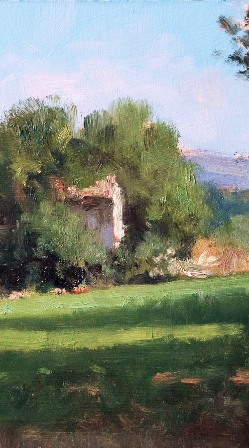 Shed in Provence by Pascal Giroud
