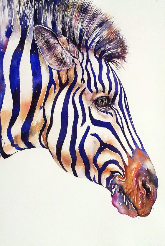 Zebra in Blue