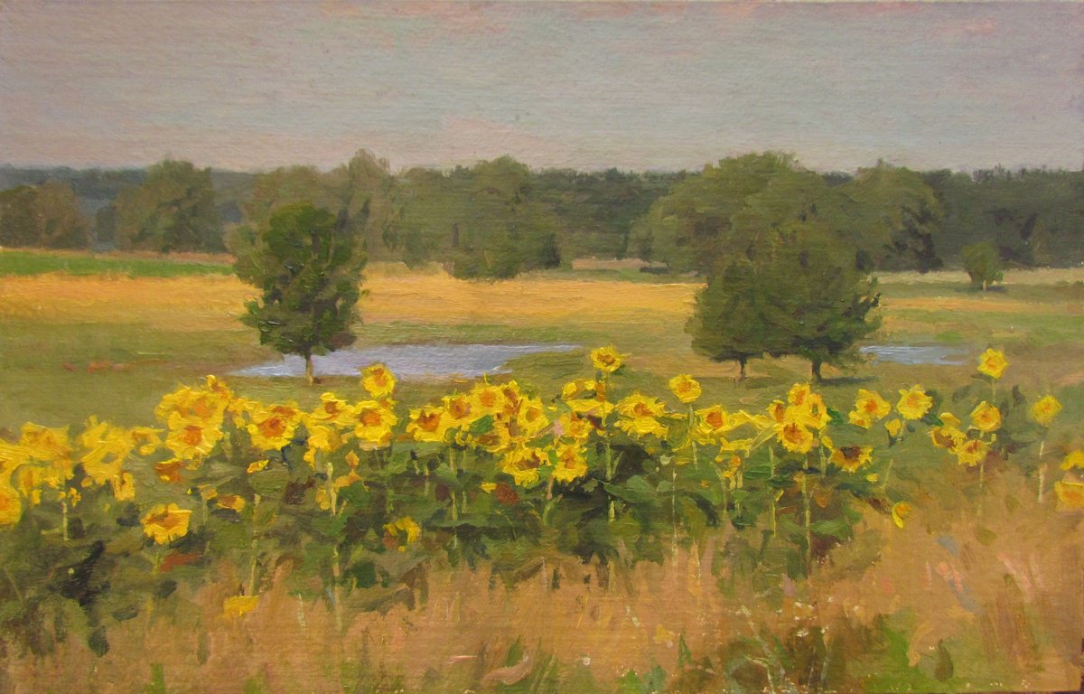 Photorealistic Landscape Oil Painting By Viktoriia Pidvarchan, 12 X 7", Sunflowers, Original Artwork