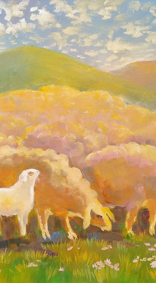 Sheep by Elina Vetrova
