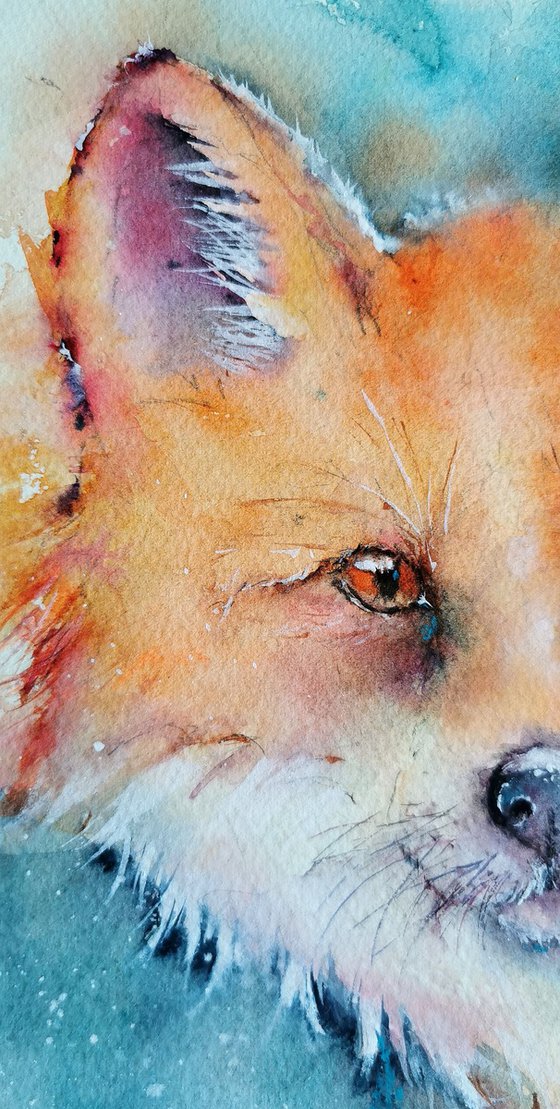 Red Fox