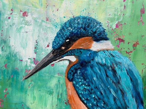 Kingfisher by the River