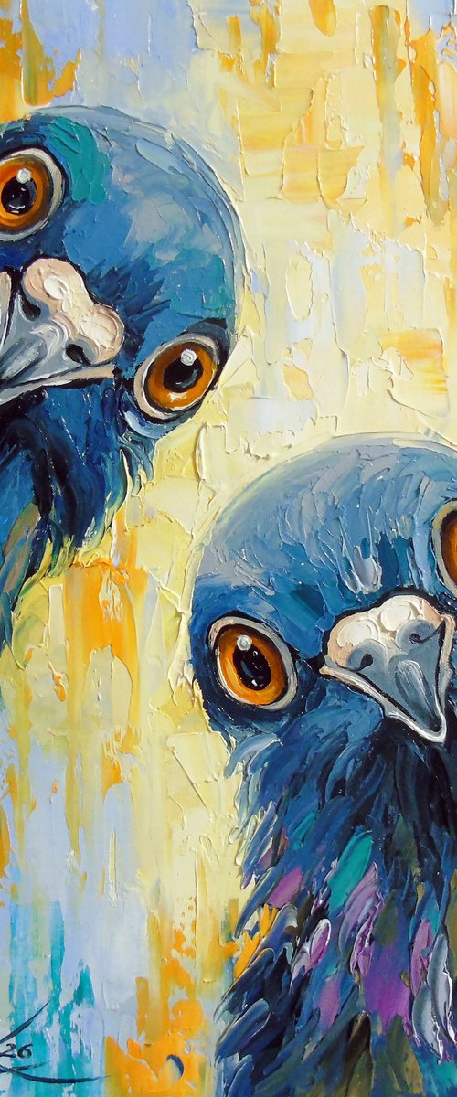 Curious Pigeons by Olha Darchuk