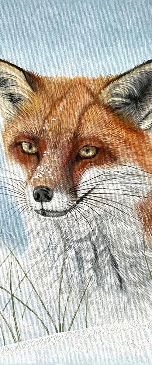Red Fox In The Snow by Yvonne B Webb