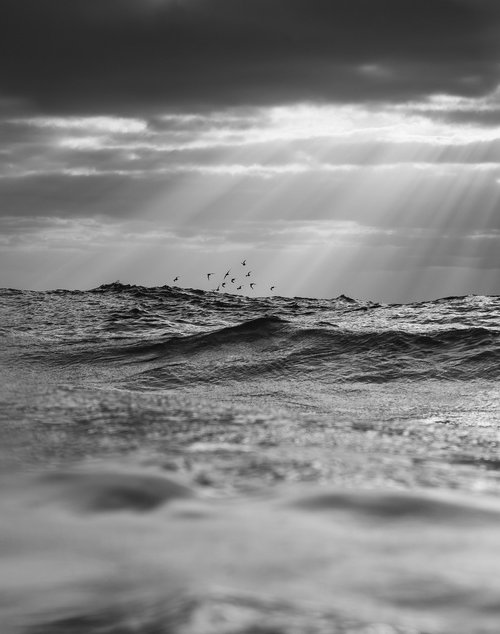 THE JOURNEY by Andrew Lever