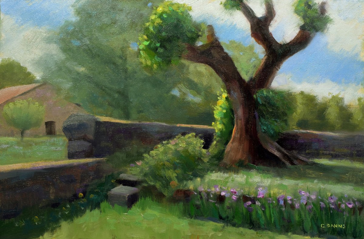 An Old Tree Clinging to Life impressionism painting by Gav Banns