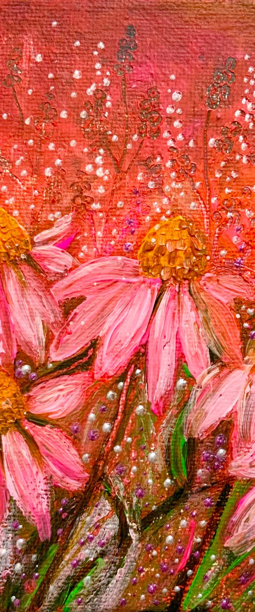 Pink Echinacea, small acrylic landscape canvas board painting by Janice MacDougall