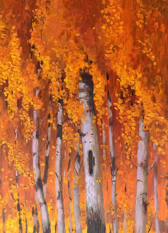 Autumn Birch Forest