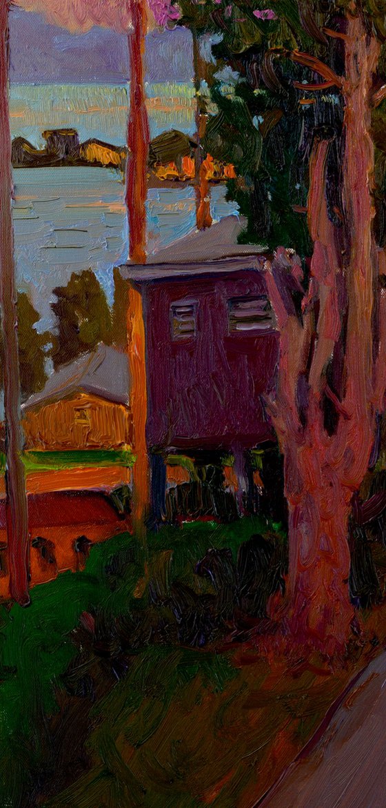 Dusk. Driveway in California