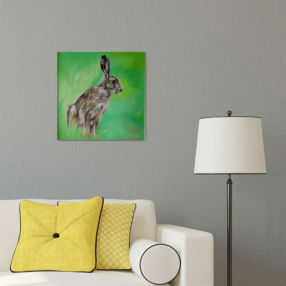 Hare Today, 20 x 20"