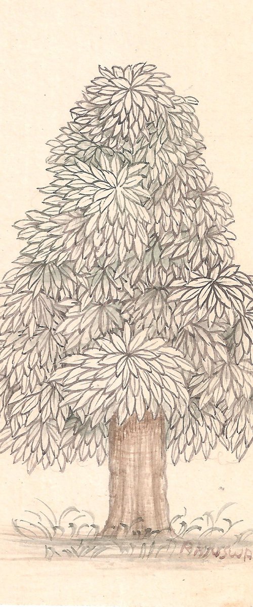 Baby Mango Tree | Indian Miniature by Mukesh Swami