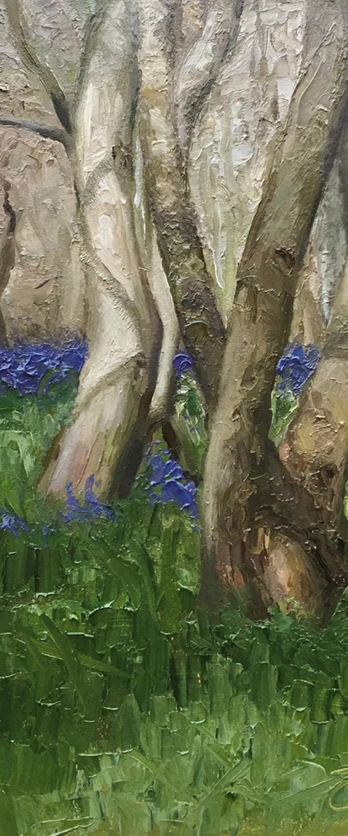 Early April: Bluebell Wood by Thom G Jordan