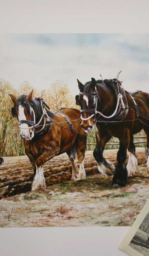 POWER & BEAUTY IN HARNESS by Peter Goodhall