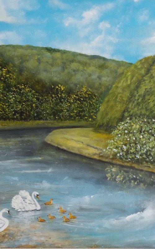 Swans on the River Wye by James Lancaster