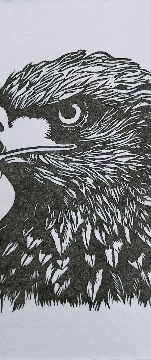 Eagle Small Print by TARA SLATER