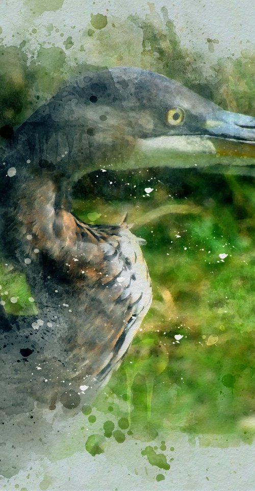 Portrait of a Blue Heron by Barbara Storey