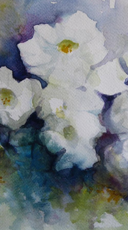 Petunia flowers by Elena Oleniuc