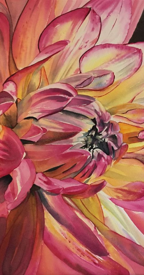 Enduring Grace by Sarah Stowe