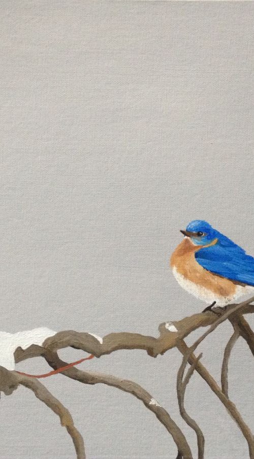 Bluebird by Jill Ann Harper