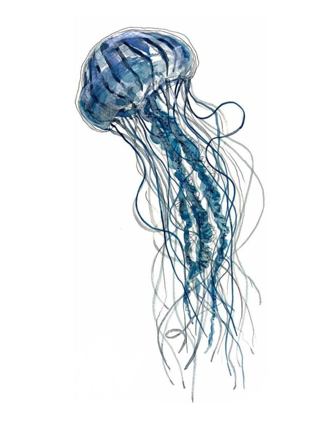 Blue jellyfish Watercolour by Ali Elly | Artfinder