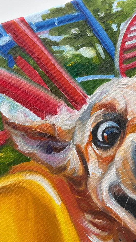 No Brakes | Dog on Rollercoaster