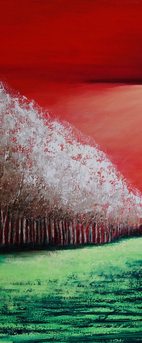Spot light - Fields and Colors Series by Danijela Dan
