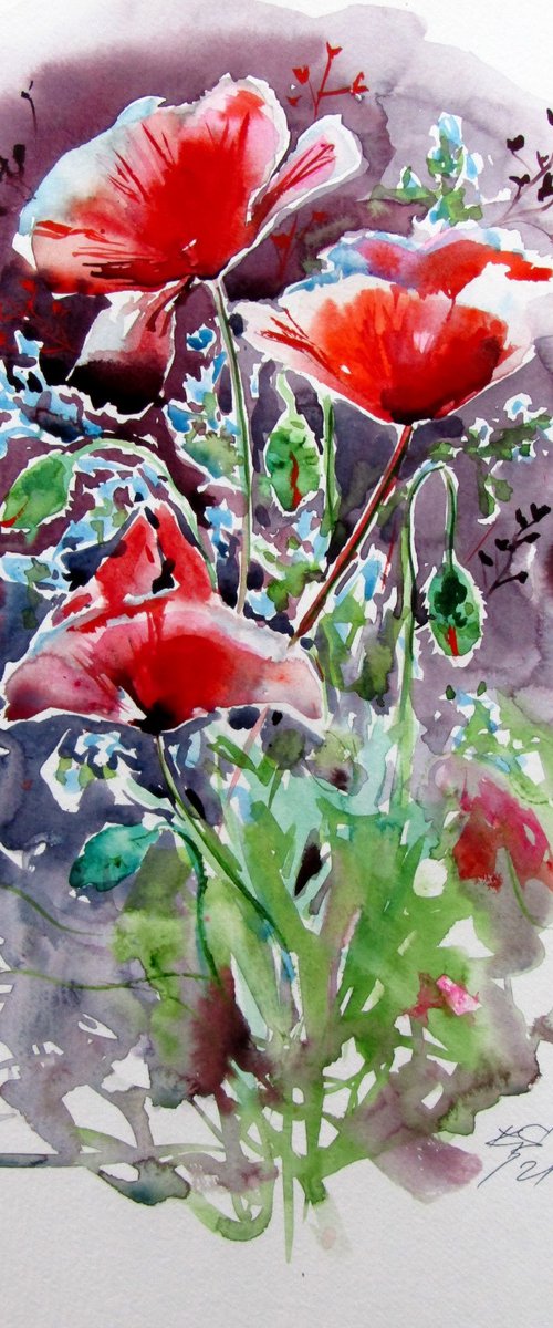 Beautiful red poppies by Kovács Anna Brigitta