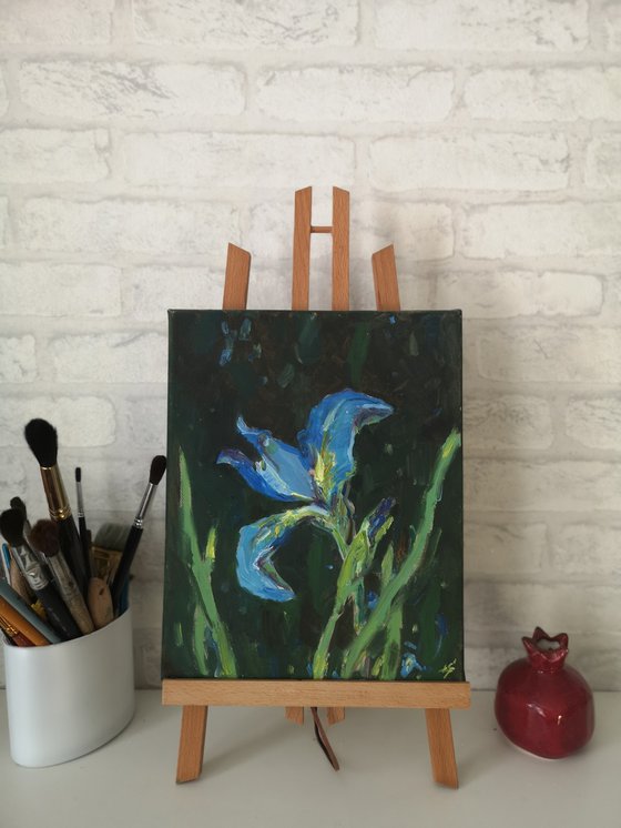 Blue iris