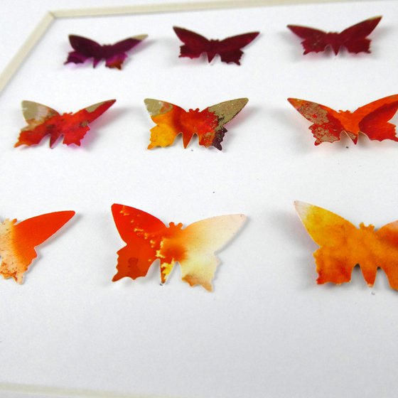 9 Orange and gold butterflies