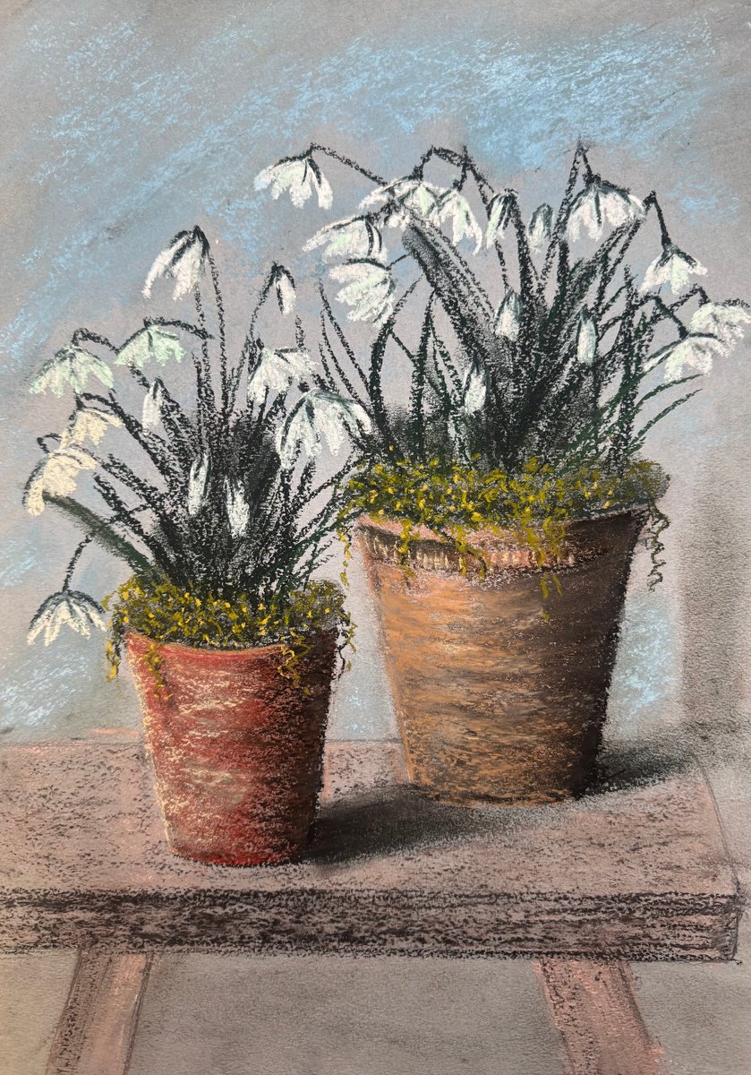 Impressionistic Pastel Drawing , Snowdrops In Pots Soft Pastel By Yuliia Sharapova, 16 X 20, Artwork For Sale On Artfinder