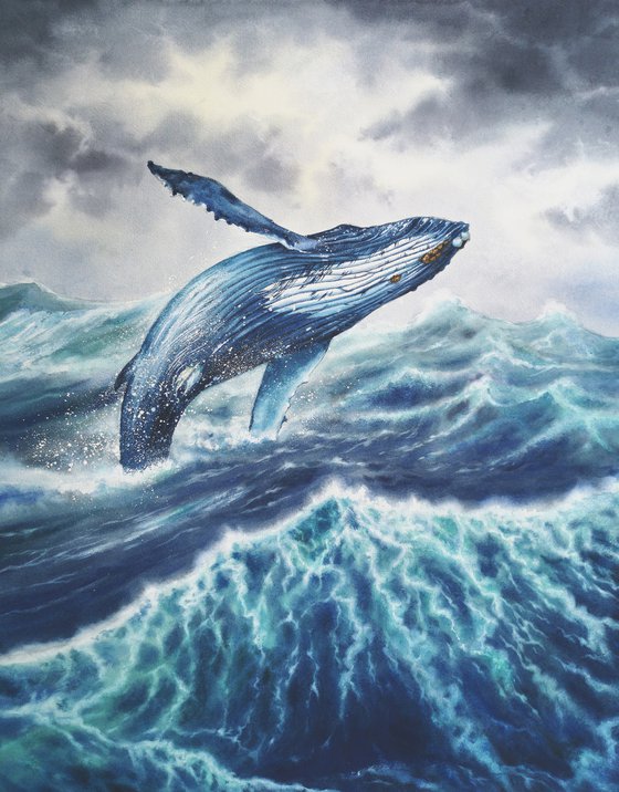 RESERVED - Blue Whale