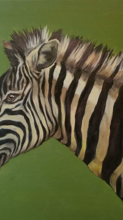 Zebra by Thuline De Cock