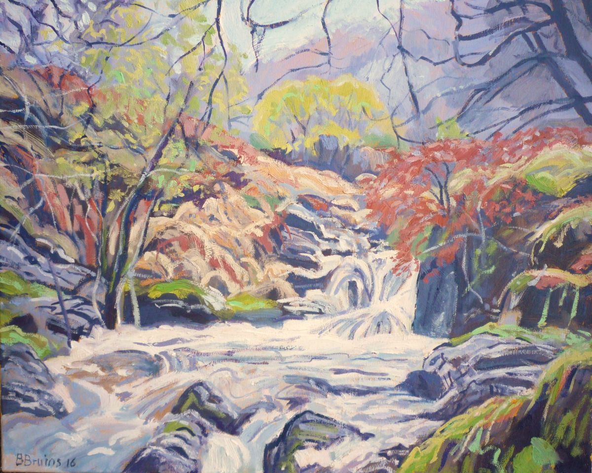 Rapids at the East Okement River, Dartmoor by Bert Bruins