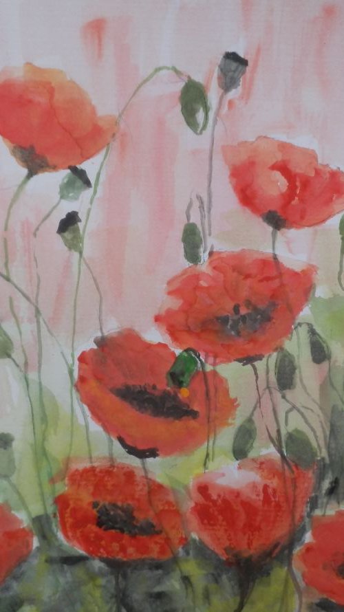 Poppies by Maria Karalyos