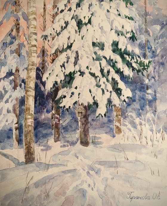 Sunset in the winter forest