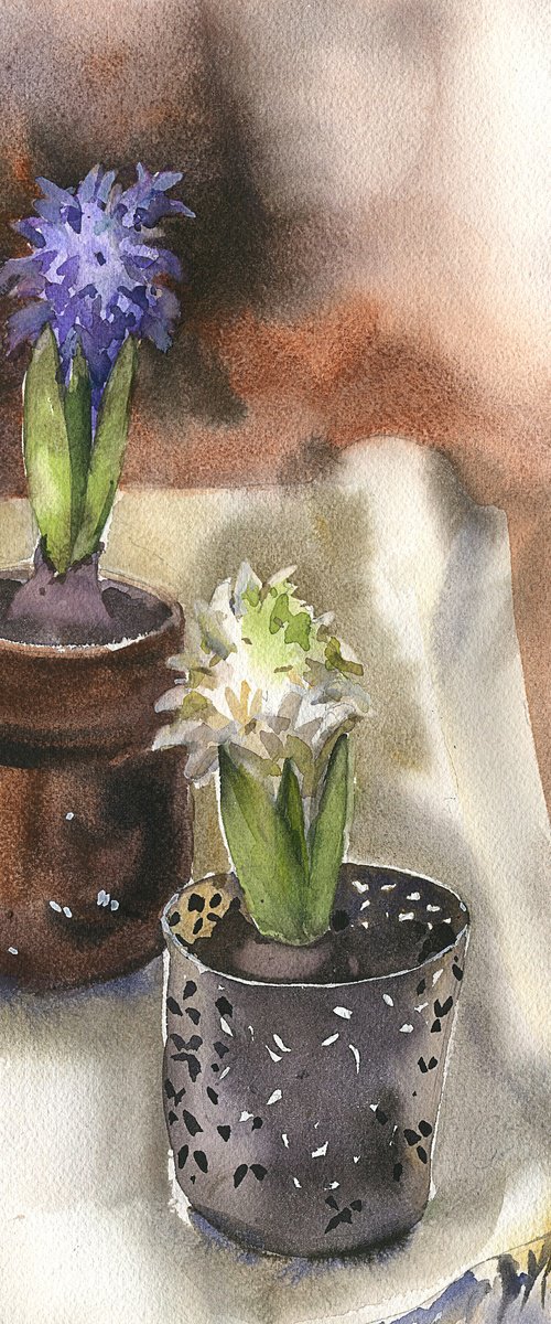 Two hyacinths by Tatyana Tokareva