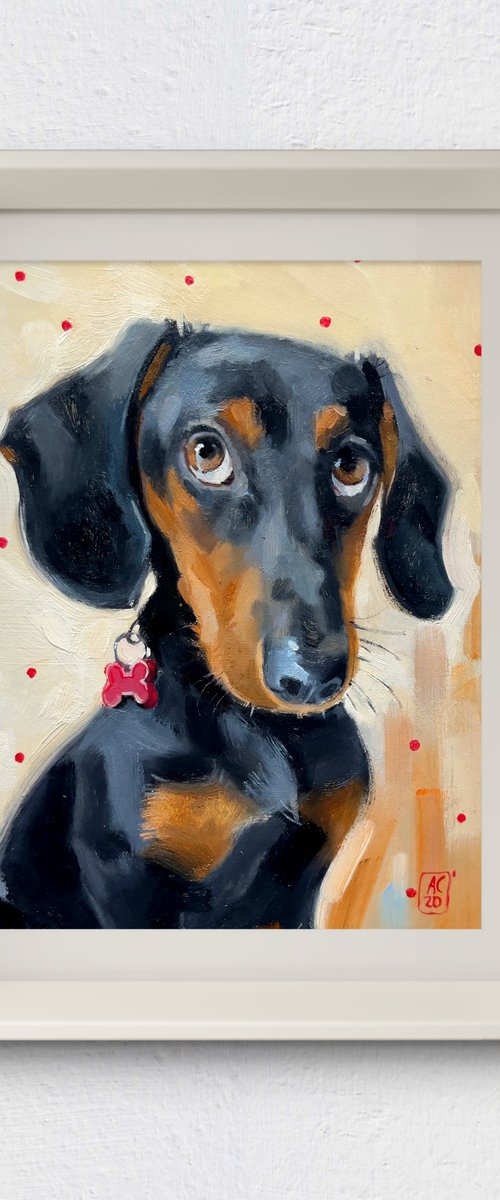 Dachshund by Alexandra Sergeeva
