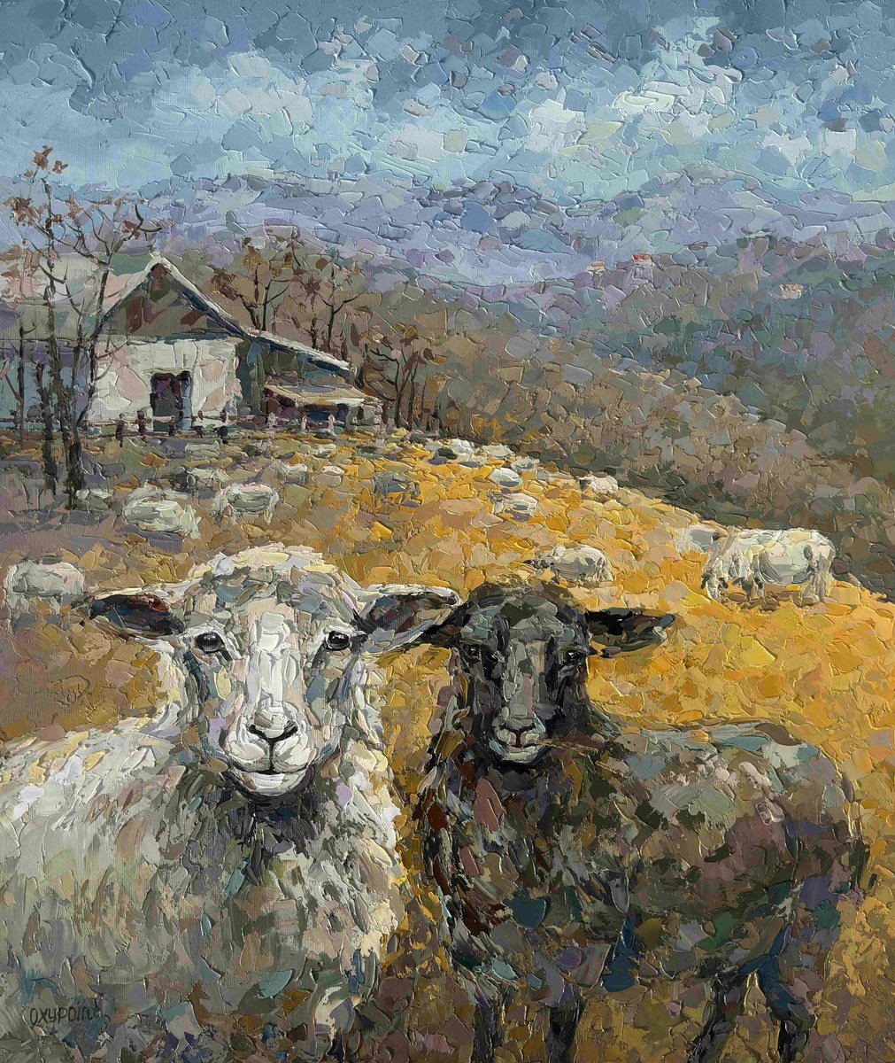 Two Curious Sheep By Oxypoint, 24 X 28, Artwork For Sale On Artfinder