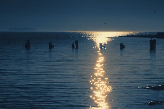 The brilliance of the waves at dawn.