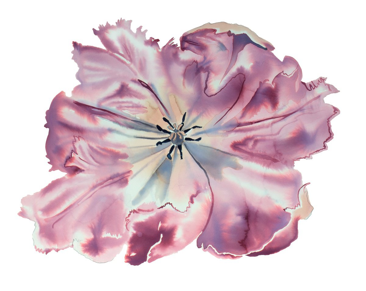 Expressive Botanical Watercolour By Elizabeth Becker, 20 X 16, Parrot Tulip, Original Artwork