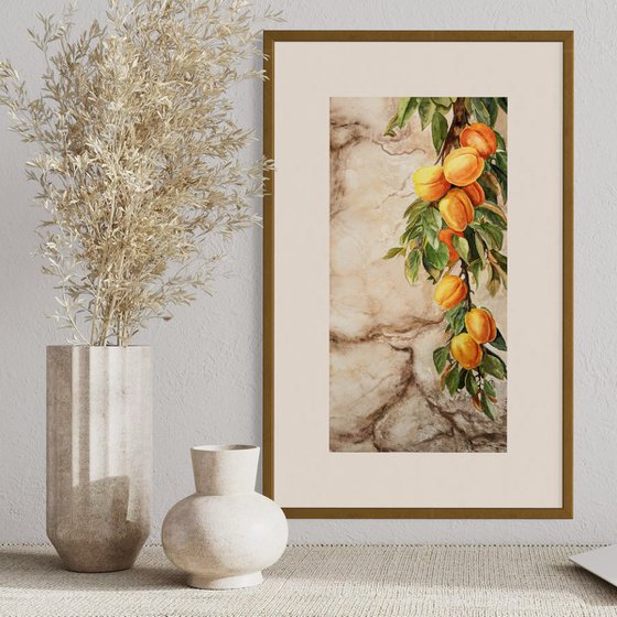 Whispers Through the Wall – Apricots