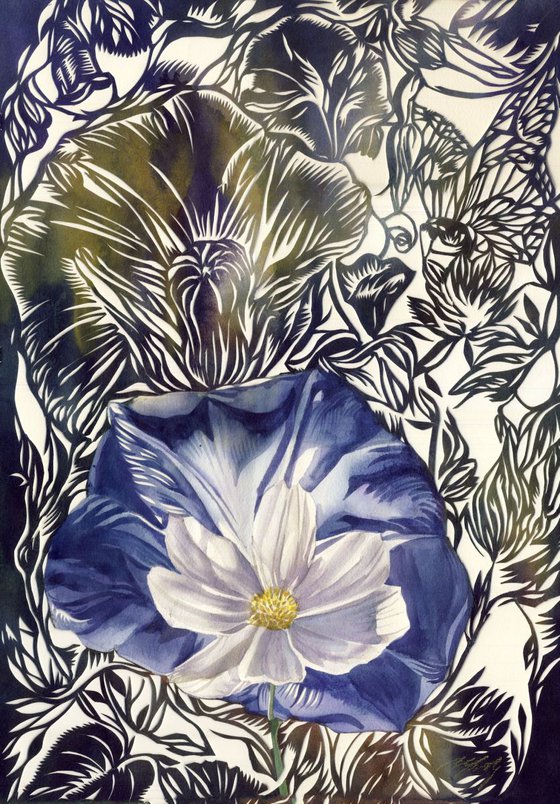 cosmos with morning glory