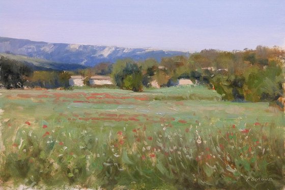 Fields near Aix en Provence
