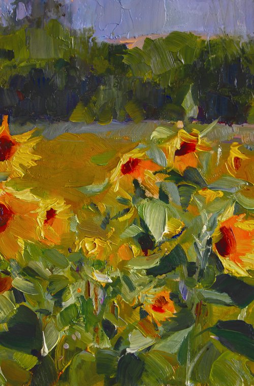Sunflowers. Study by Valentin