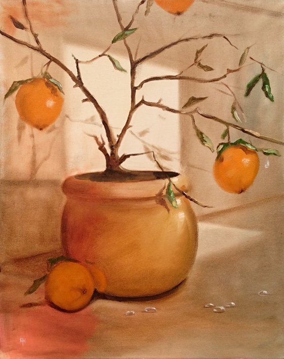 Orange tree