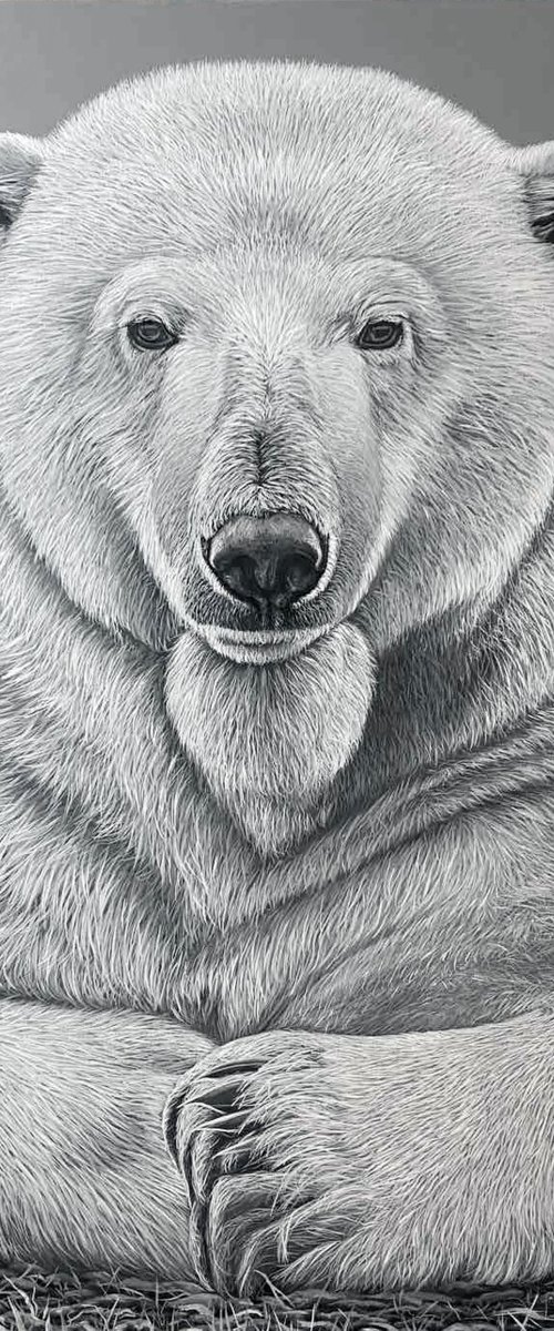 White Bear - wild life / wild animal / animalism COMMISSION WORK by Elena Adele Dmitrenko