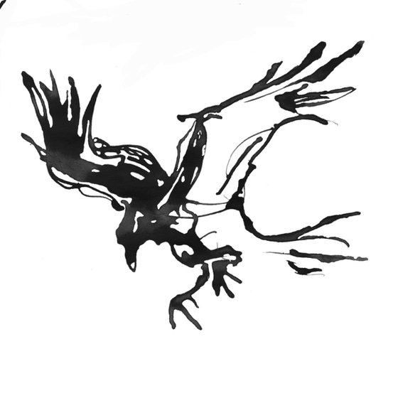 Raven landing