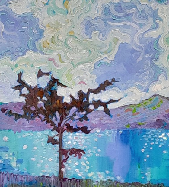 Turquoise Lake and Scruffy Tree