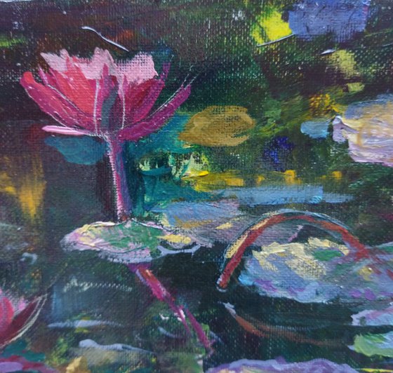 Water Lilies