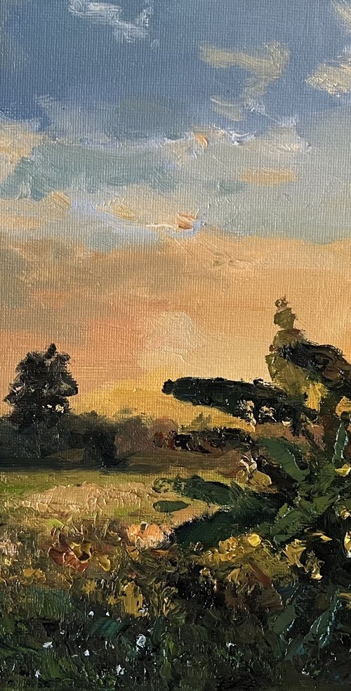 Sunset Before the Arrival of Winter by Sarawut Donrasri